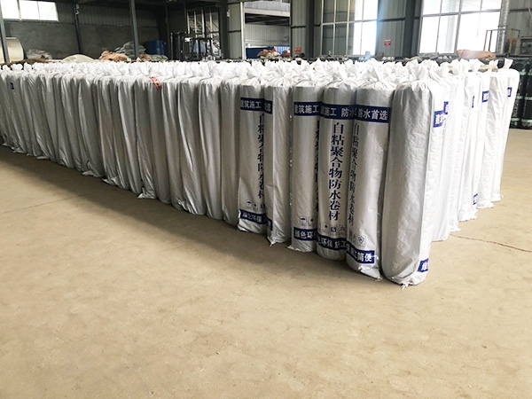 small4_16025710841336286